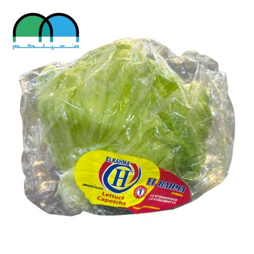 خس امريكي حبه