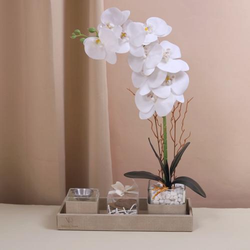 هدية طقم الأوركيد مع العود