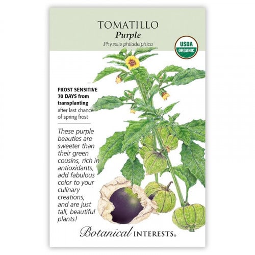 بذور توماتيلو بنفسجي - Purple Tomatillo seeds