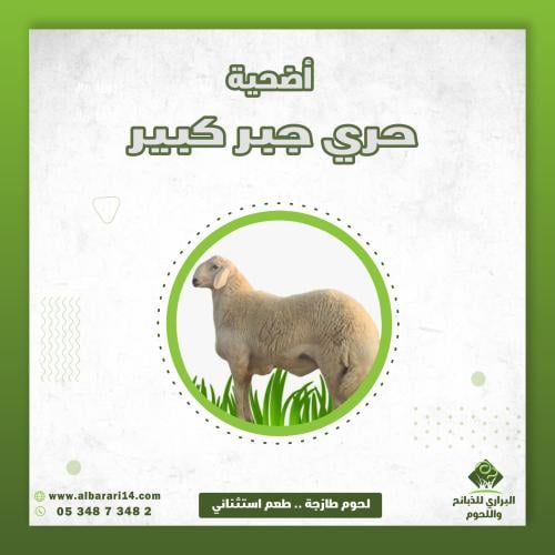حري جبر كبير أضحية ( اليوم الثالث )