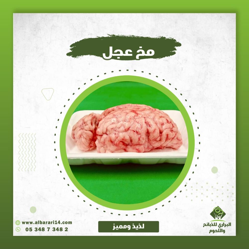 مخ عجل