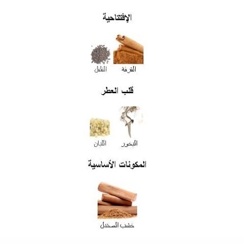 عطر فالنتينو نوار ابسولو او دو بارفيوم 100 مل