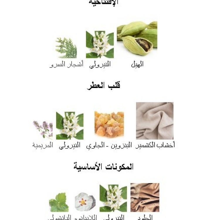عطر دولتشي غابانا ذا ون الرجالي او دو بارفيوم انتنس 100 مل