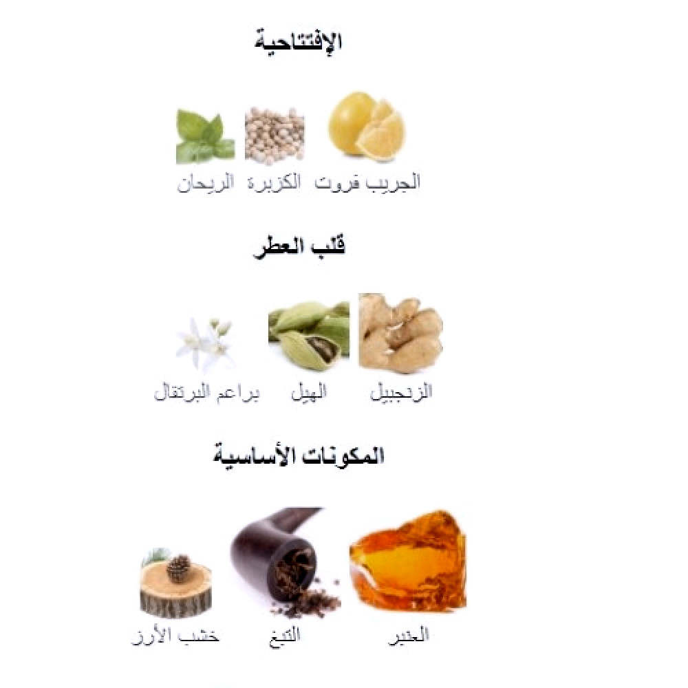 عطر دولتشي آند غابانا ذا ون أو دو برفيوم 100 مل