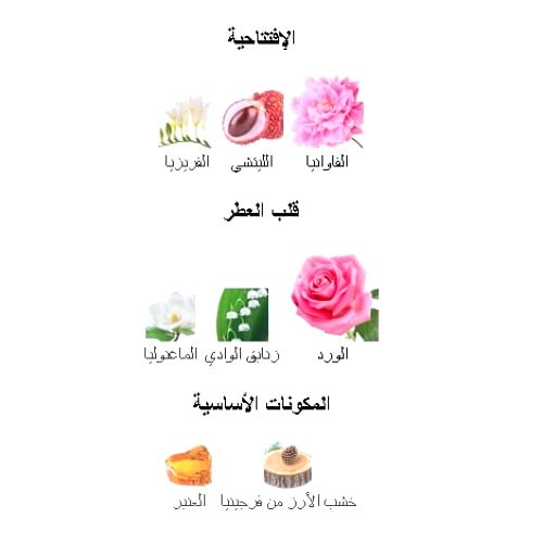 عطر كلوي اودي بارفيوم 75 مل