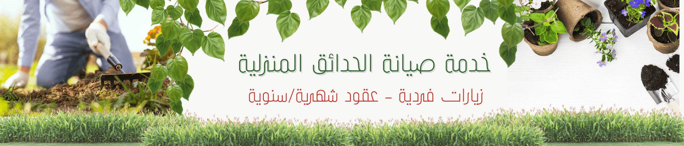 غراسيا للنباتات image-slider-1