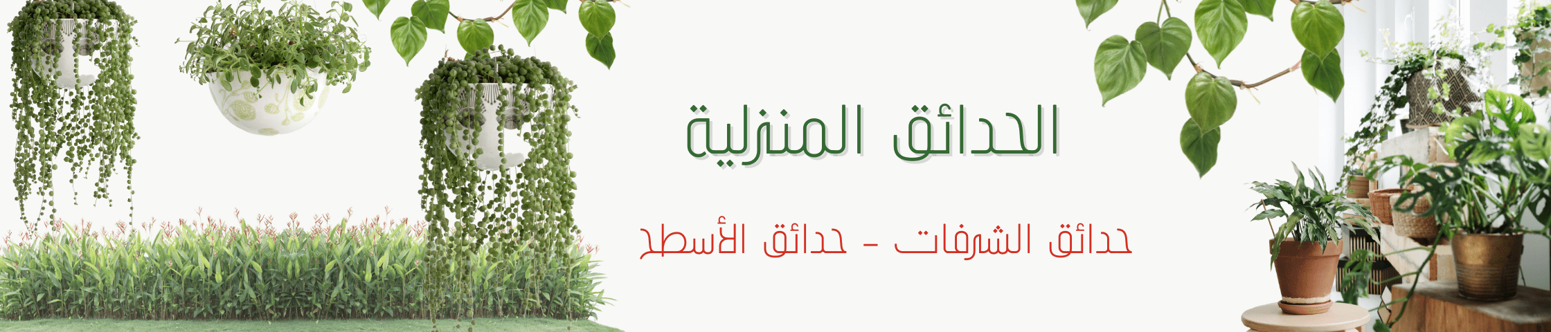 غراسيا للنباتات image-slider-2