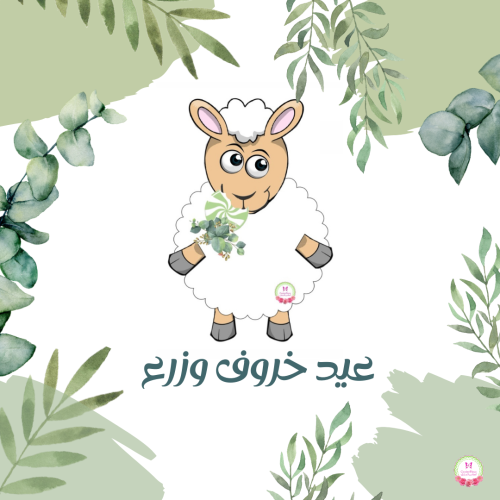 صندوق خروف العيد كبير
