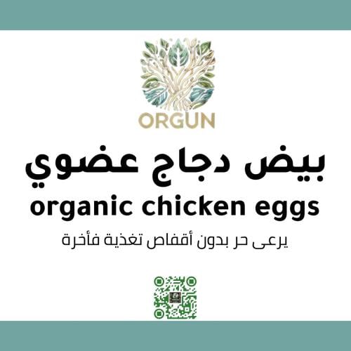 بيض عضوي