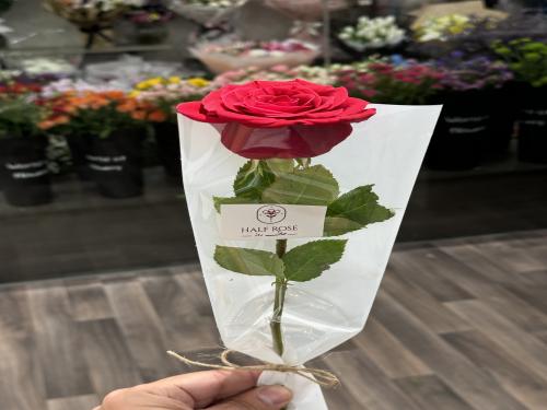 توزيعات احمر