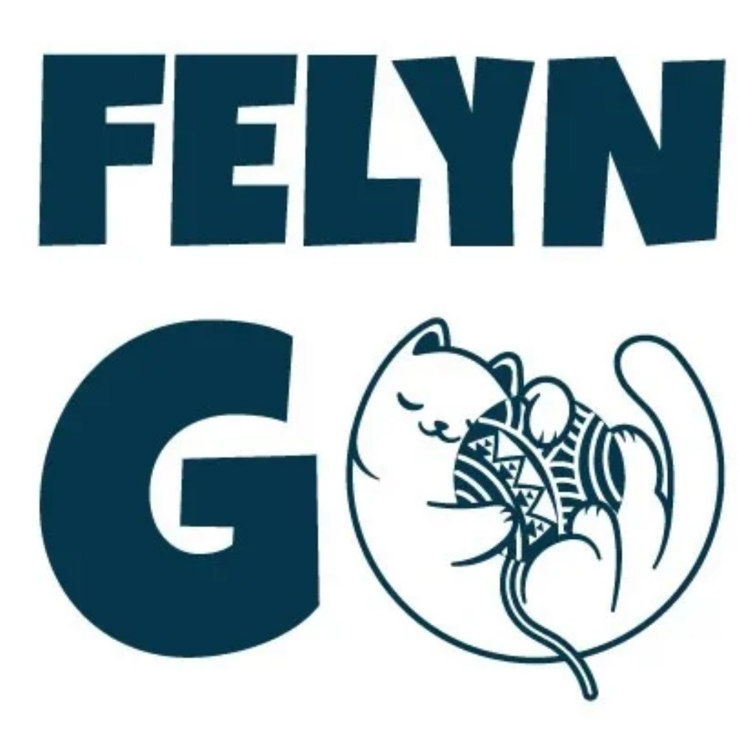 FELYN GO