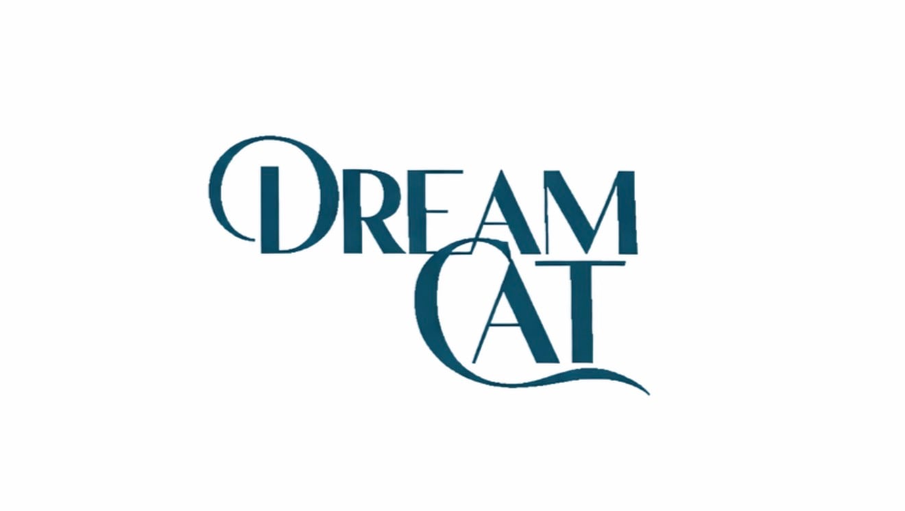 DREAM CAT
