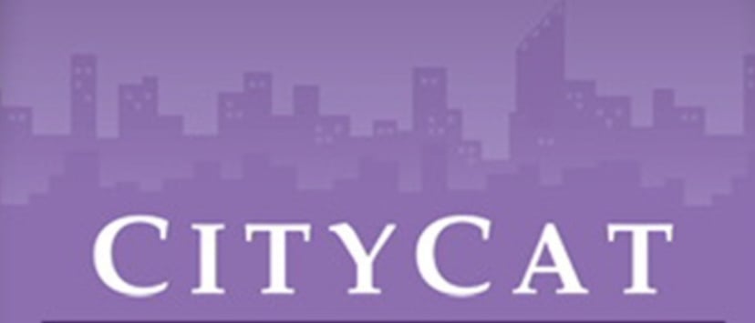 CITY CAT