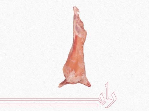 تيس كشميري صغير  وزن من 6 الى 7.9 كيلو