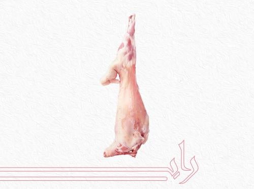 نعيمي كشميري لباني وزن من 6.1 الى 7 كيلو