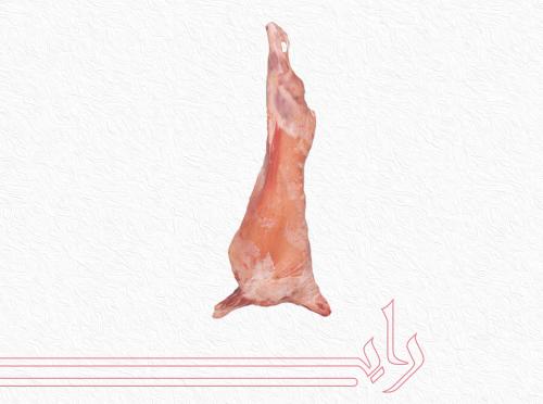 تيس كشميري كبير  وزن من 10 الى 11.9 كيلو