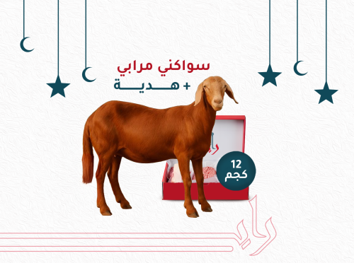 سواكني مرابي 12 كيلو + هدية