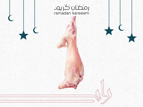 نعيمي كشميري هرفي وزن من 10.1 الى 11 كيلو