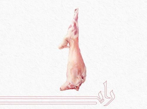 نعيمي كشميري جذع وزن من 14.1 الى 15 كيلو