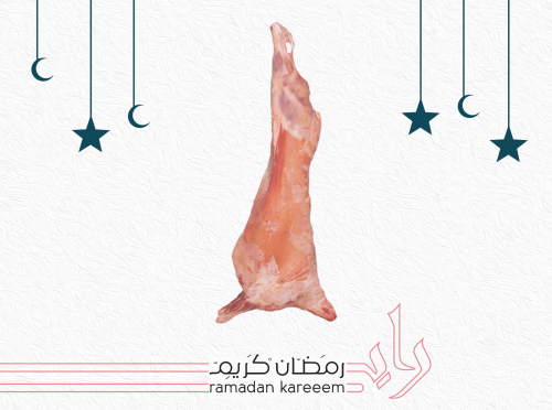 تيس كشميري صغير  وزن من 6 الى 7.9 كيلو