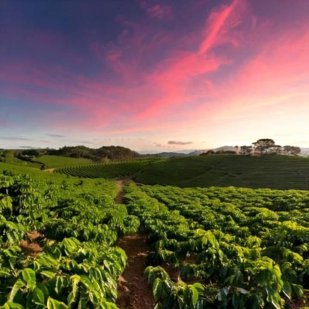 كيفية اختيار كوب قهوة مناسب؟