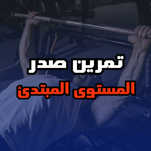 تمرين صدر للمستوى المبتدئ