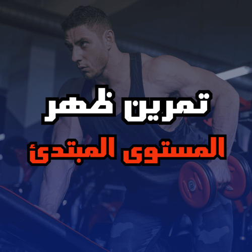 تمرين ظهر للمستوى المبتدئ