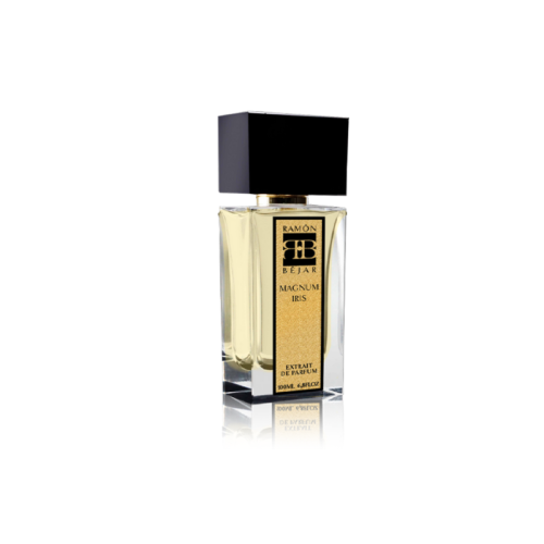 Chanel Bleu de Chanel Parfum 100ML - ديمو بيوتي