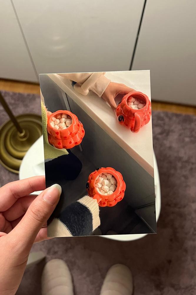 صورة (مقاس كبير)