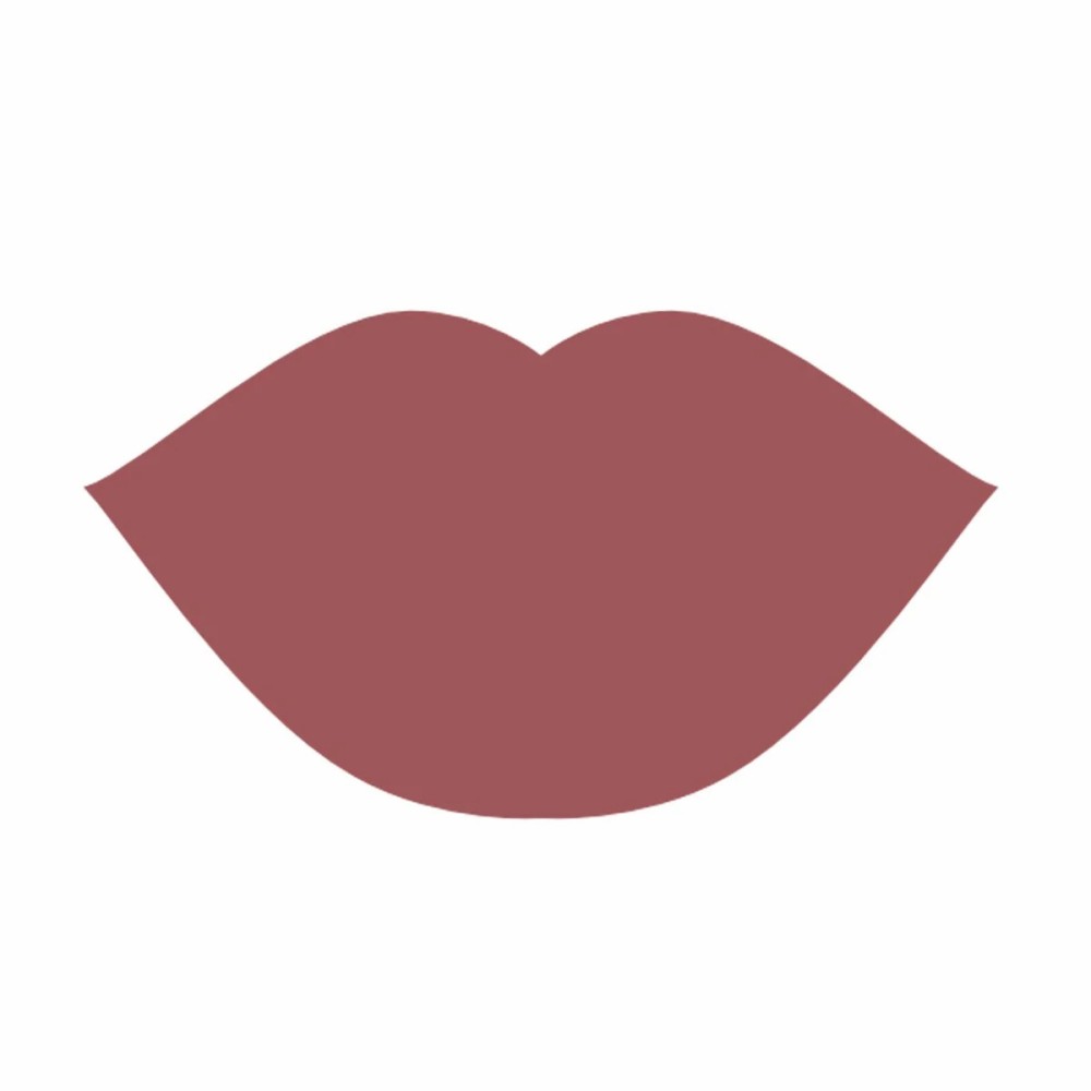 قلم تحديد الشفايف ليف الألماني مطفي - 208