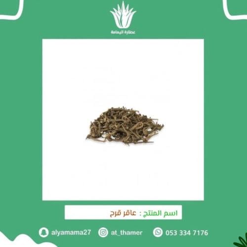 عاقر قرح - 50 جرام