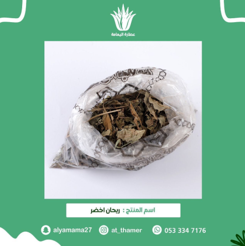 ورق ريحان أخضر