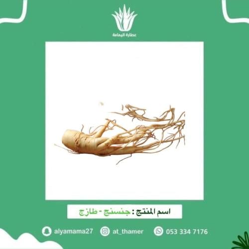 جنسنج طازج / 20 جرام