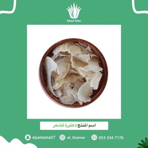 كثيرة للشعر