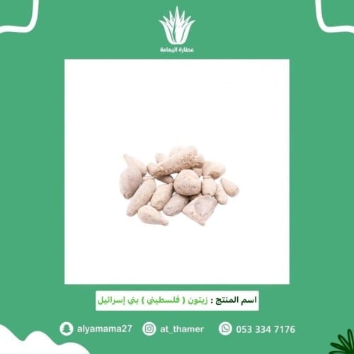 زيتون فلسطيني | بني اسرائيل