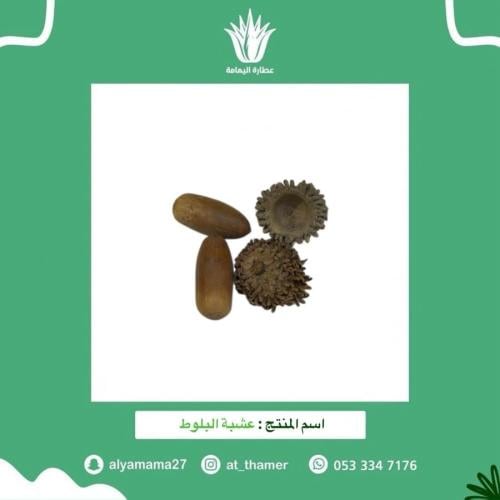 عشبة البلوط - 50 جرام