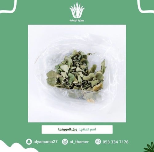 ورق المورينجا