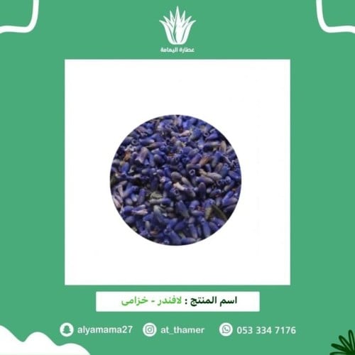 لافندر - خزامى