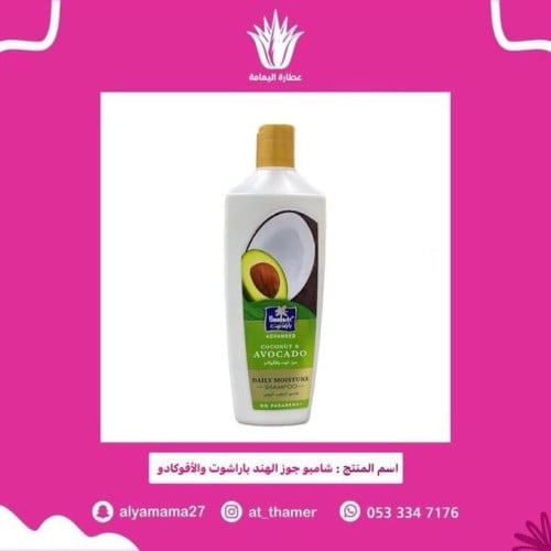شامبو جوز الهند باراشوت والأفوكادو