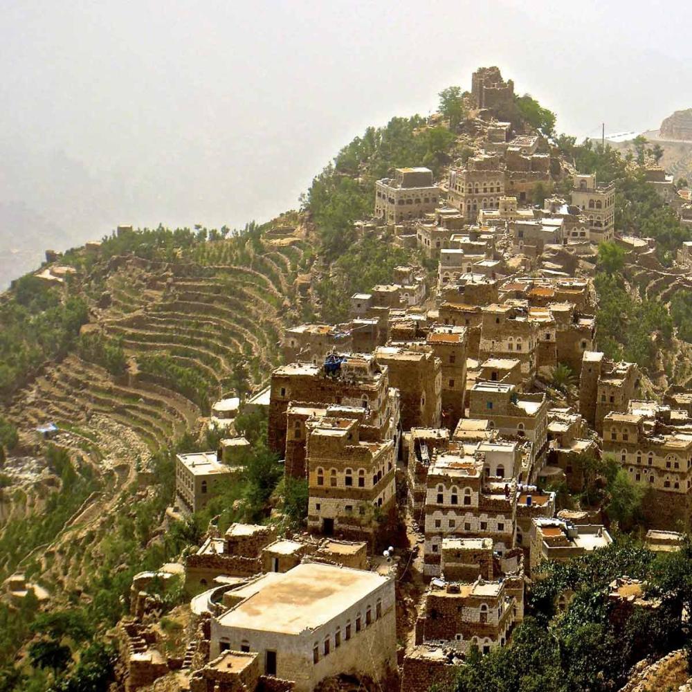 Premium Yemeni coffee – from the mountains of Haraz to the most expensive cup in the world