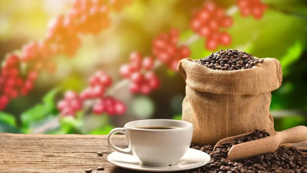 The story of the world's first cup of coffee and how it changed history