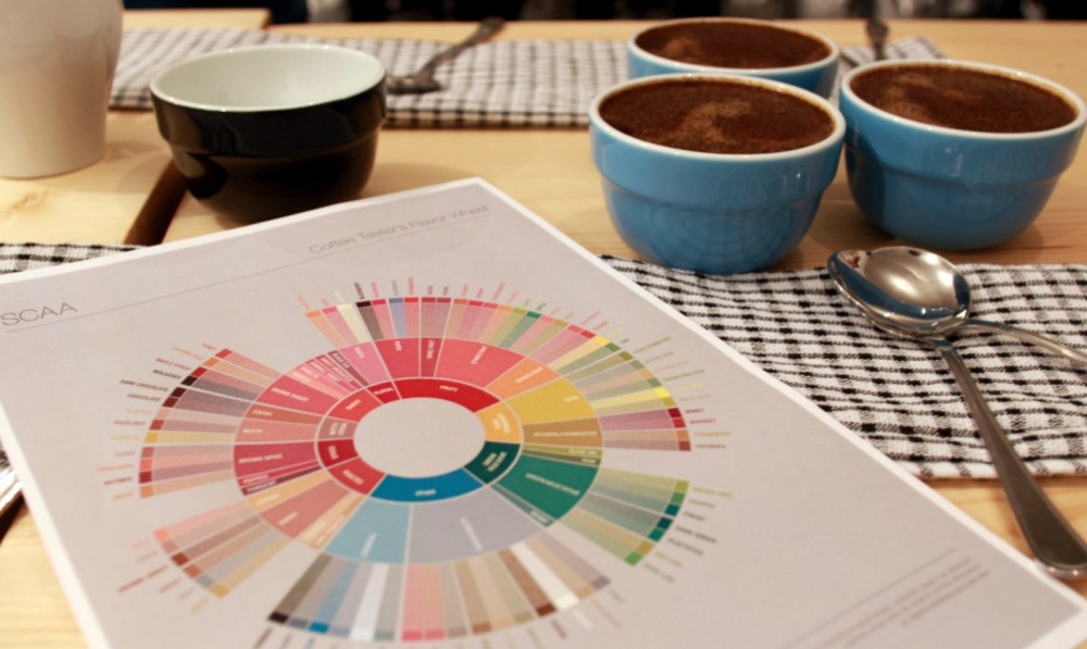 Flavor Science: Why We Love Coffee?