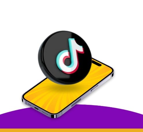 خدمات تيك توك بزنس