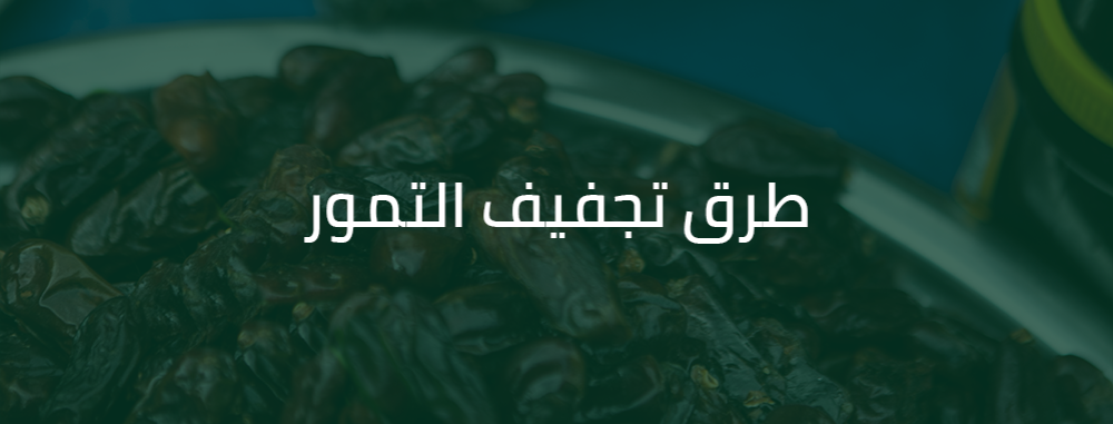طرق تجفيف التمور - دليلك الشامل لـ تجفيف التمر في المنزل والحفاظ عليه لأطول مدة