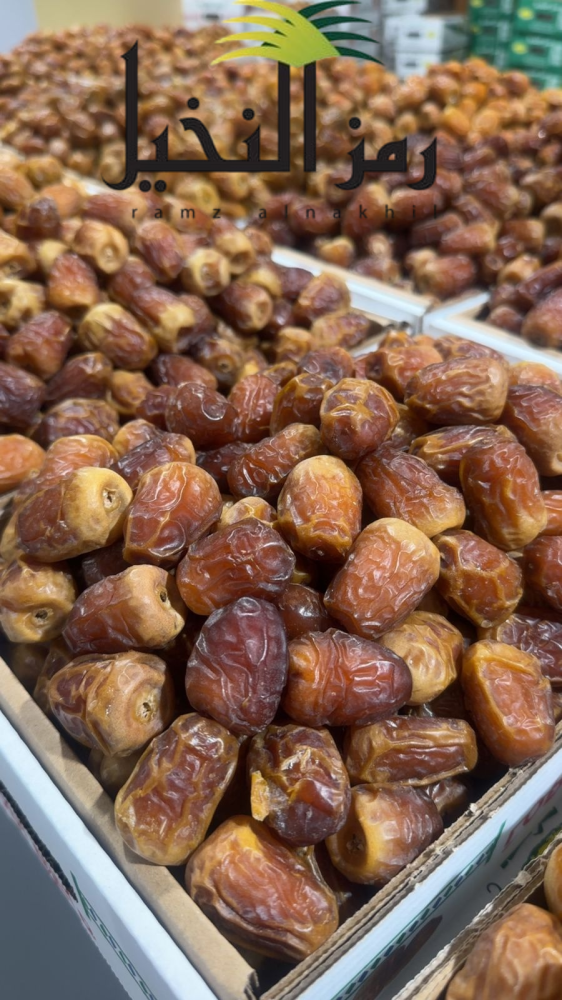 تمر جالاكسي ملكي فاخر