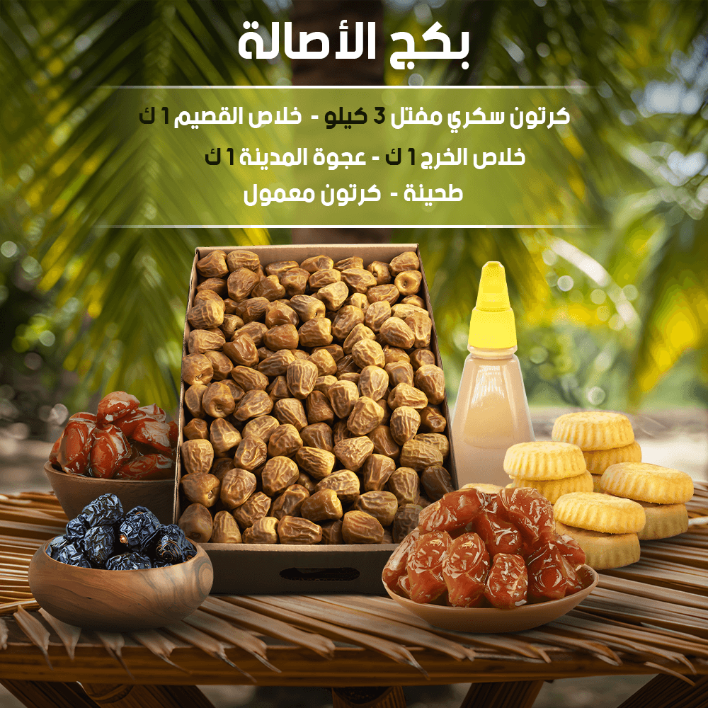 بكج الاصالة - رمز النخيل