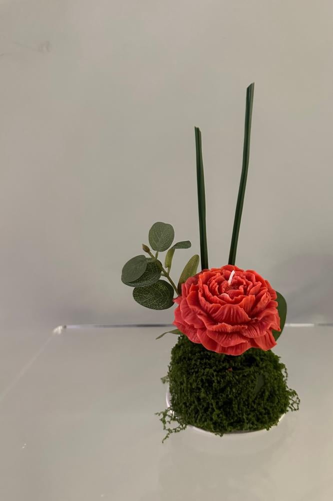 توزيعات ورد بالشمع او ورد طبيعي