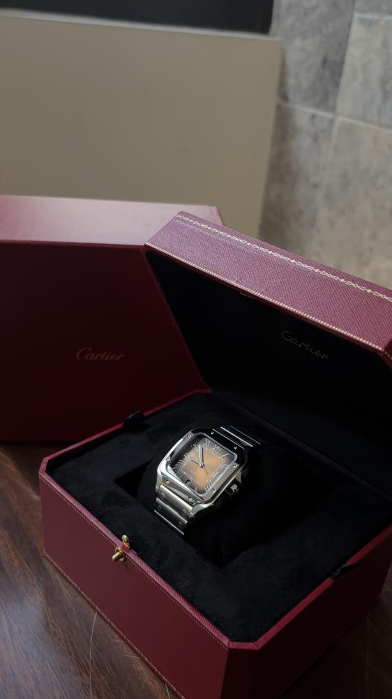 Santos De Cartier - Brown