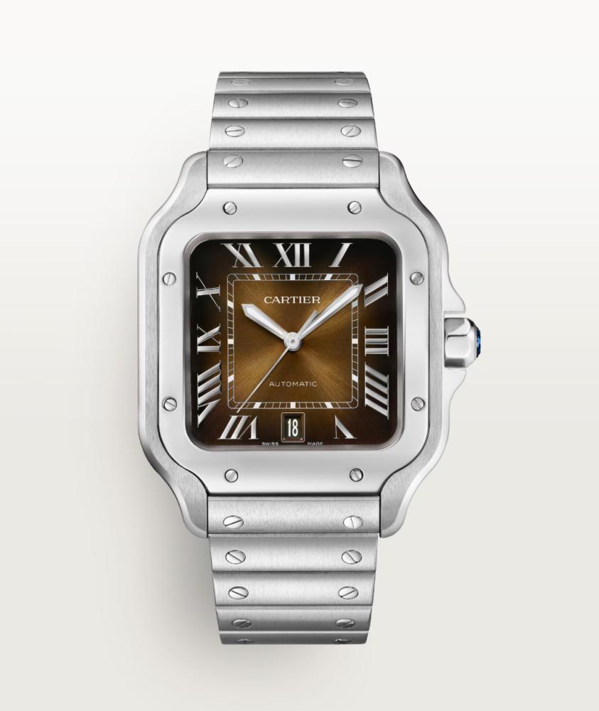 Santos De Cartier - Brown
