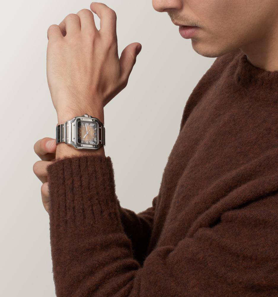 Santos De Cartier - Brown